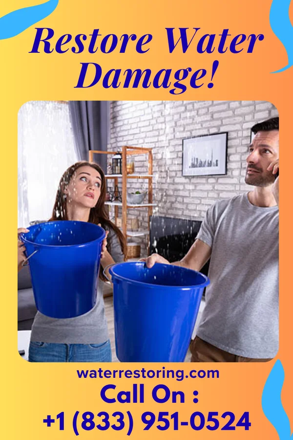 water restoration Elite Flood Damage Co Naper