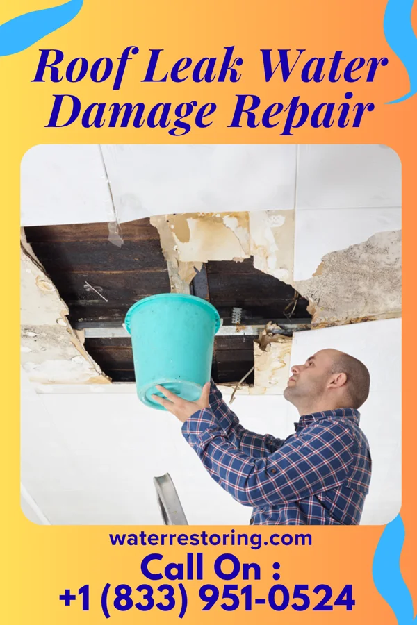 Roof Leak Water Damage Repair in Naper, NE