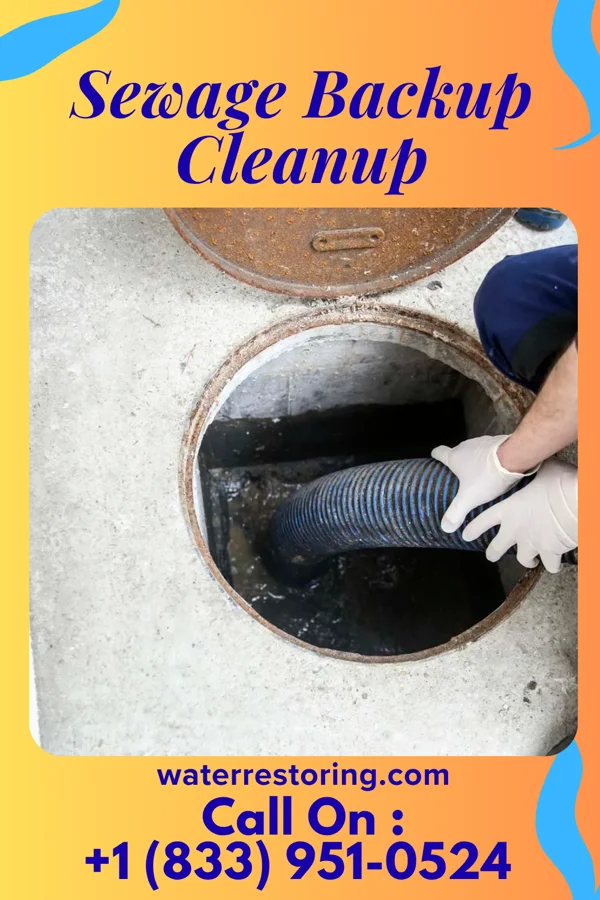 Sewage Backup Cleanup in Naper, NE