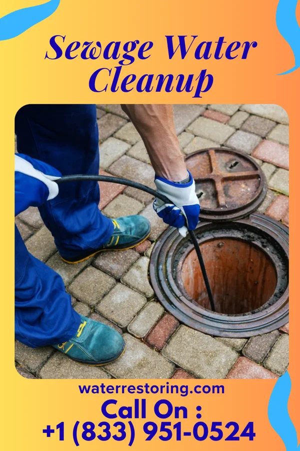 Sewage Water Cleanup in Naper, NE